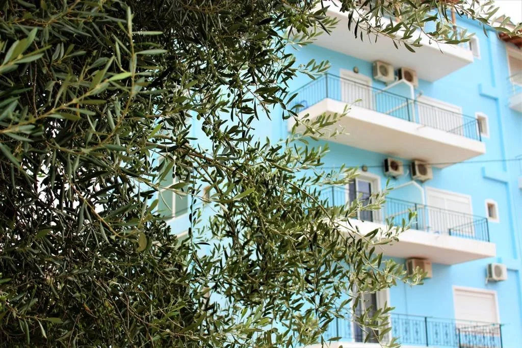 The pale blue facade of Hotel Frida with its white balconies, seen through olive branches