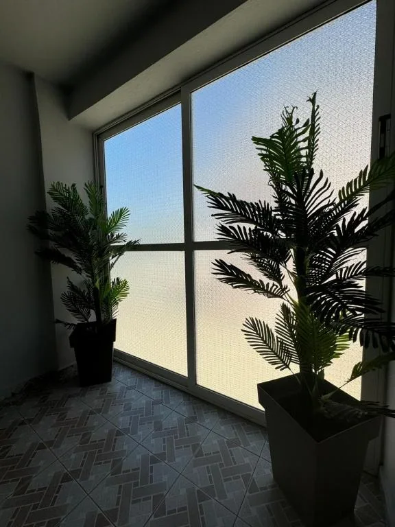 A tall window and planting inside Hotel Frida