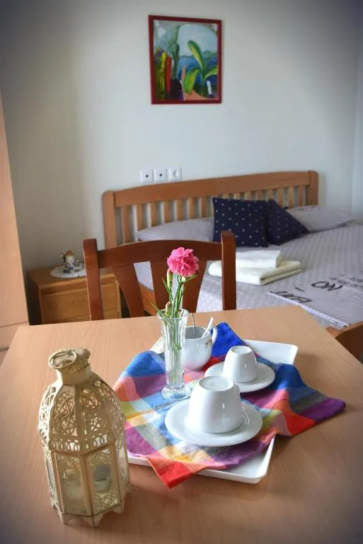 Studio with Balcony at Villa Filip