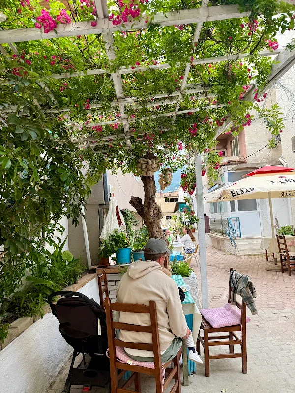 Vine-shaded outdoor terrace with tables at Cafe Kanda in central Himara