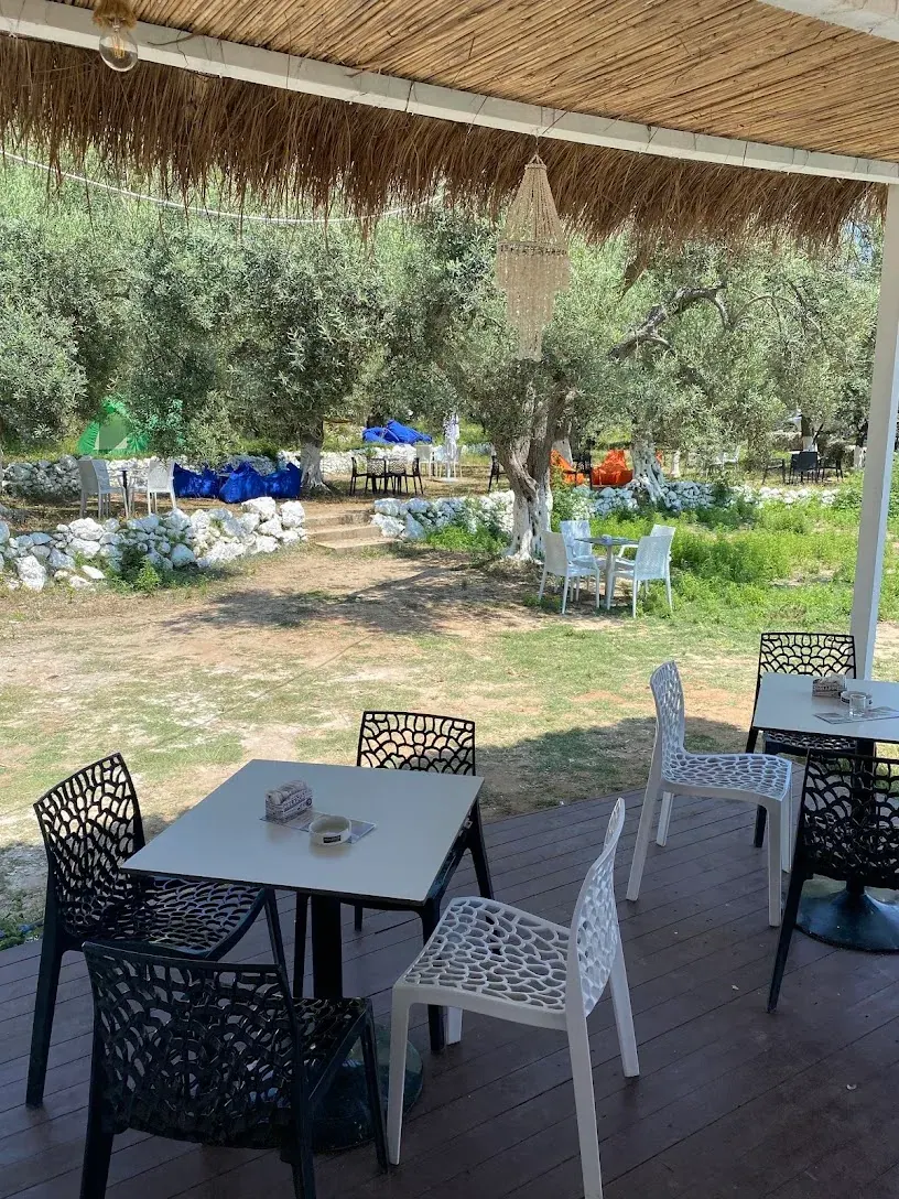 Olive-grove terrace with white seating at Invicta Beach Bar in Himara