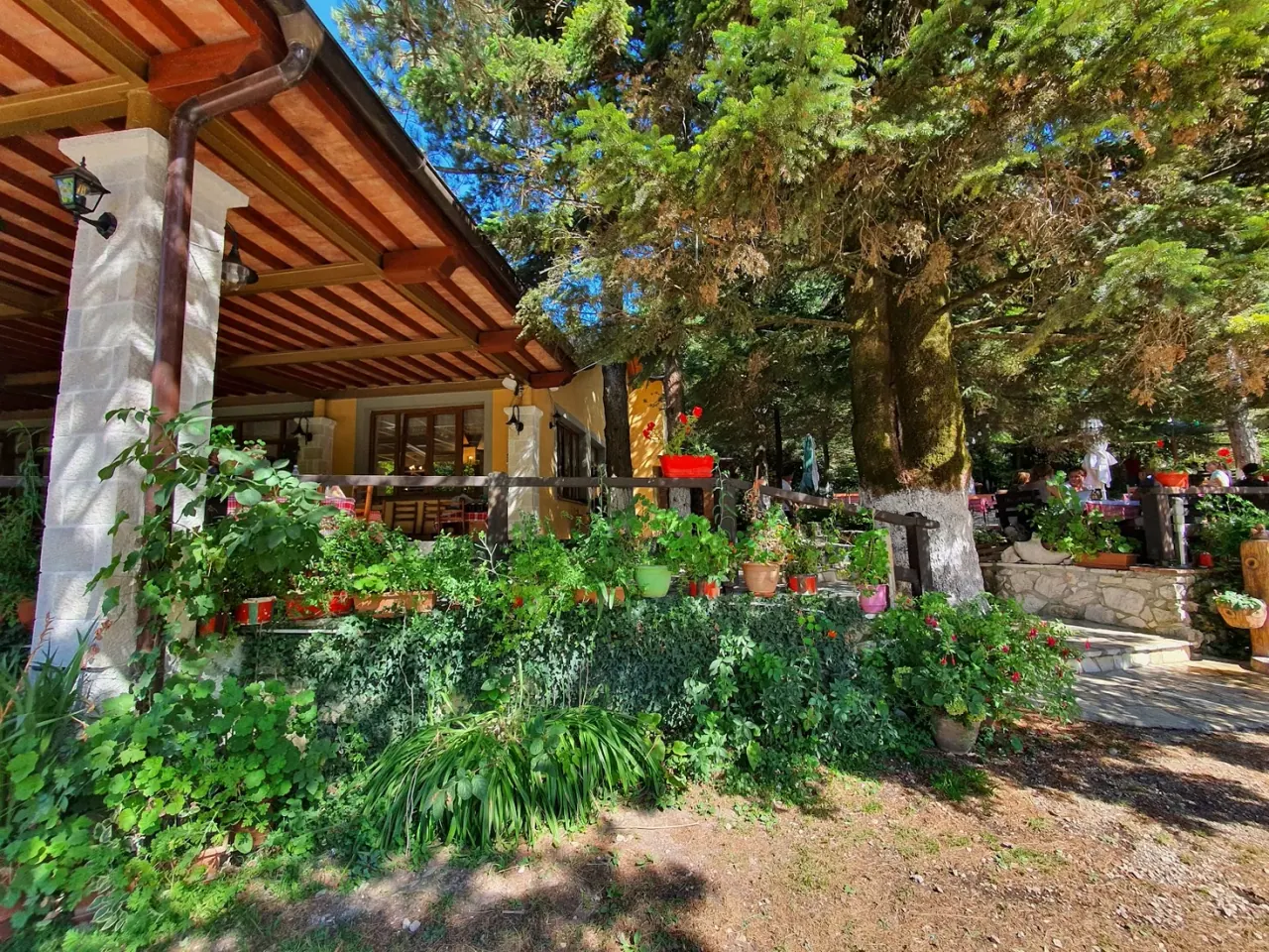 Garden terrace with a yellow building among the pines at Restorant Alberti on the Llogara Pass
