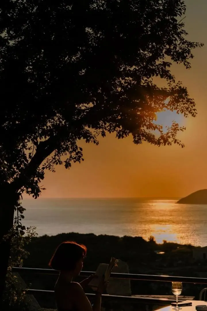 The setting sun seen through a broad-leaved canopy above the sea