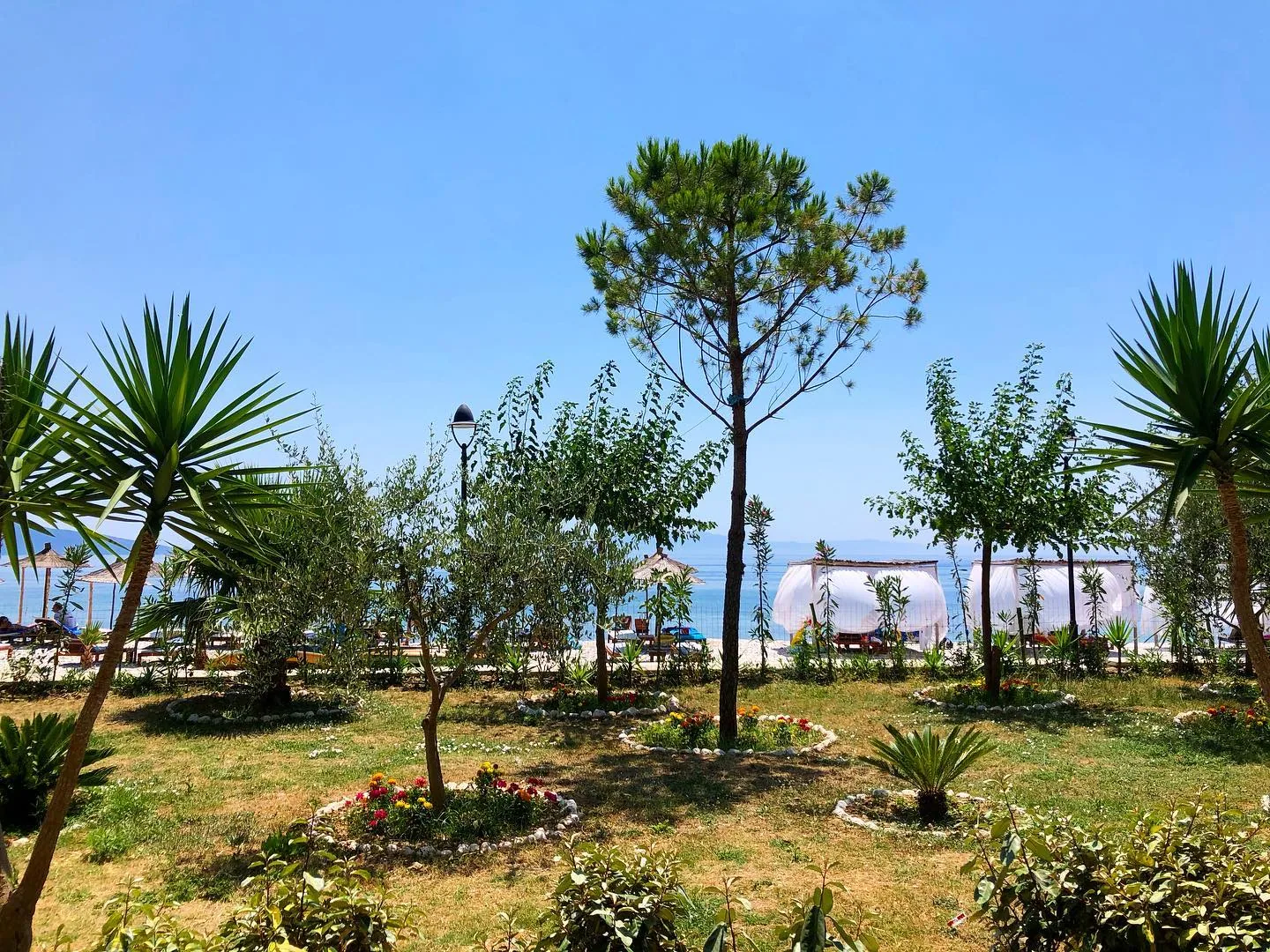 Young trees along the hotel's shore frontage with the flat water of the bay behind them
