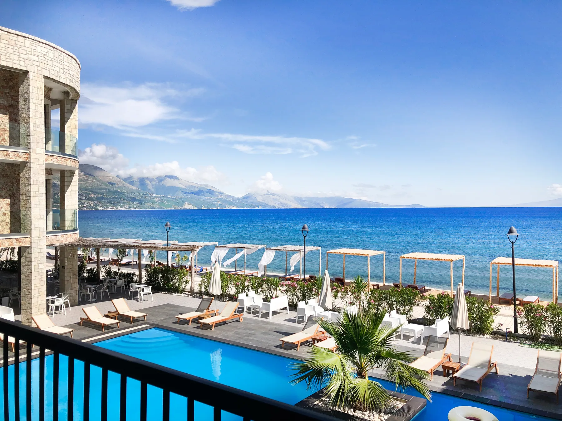 The pool and its rows of loungers seen from a room balcony, a palm in the middle of it