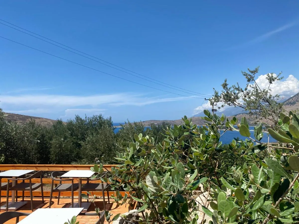 The timber deck set with tables and chairs, olives and the bay beyond