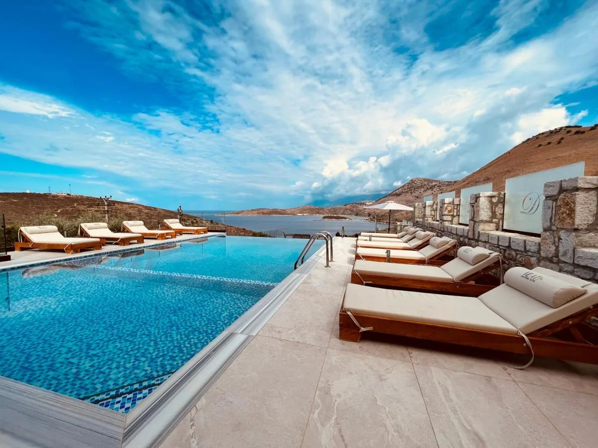 The infinity pool at midday, timber loungers on travertine paving, the D mark set into the stone wall behind