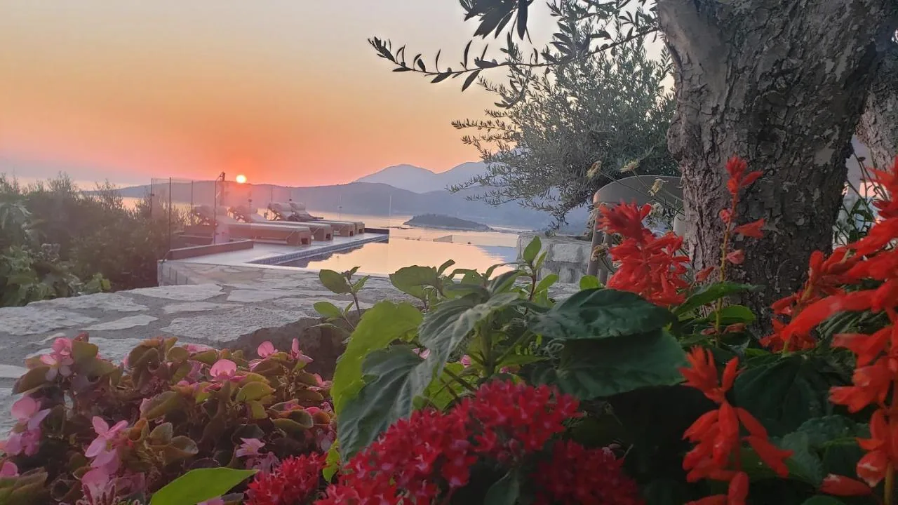 The sun setting past the pool, seen through red and pink planting under an olive tree