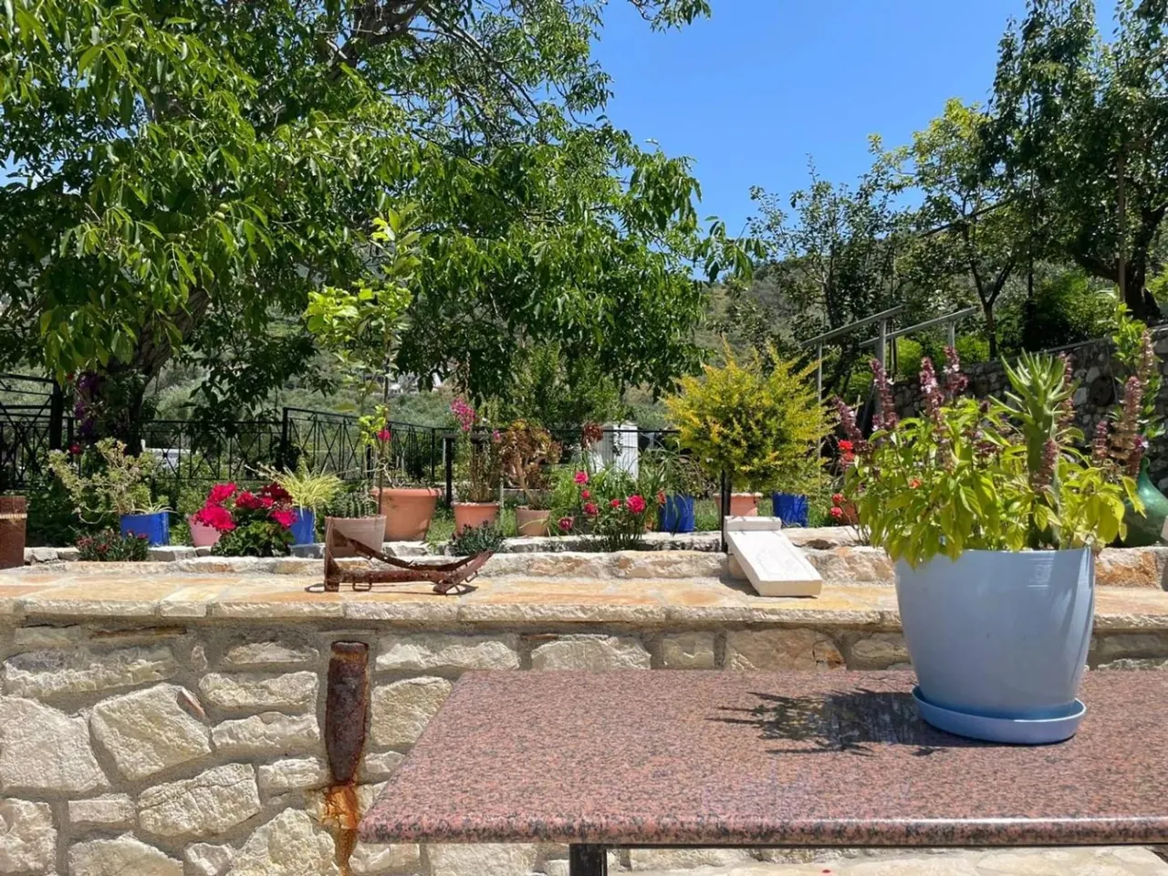 The garden terrace with potted plants, fruit trees and a stone wall