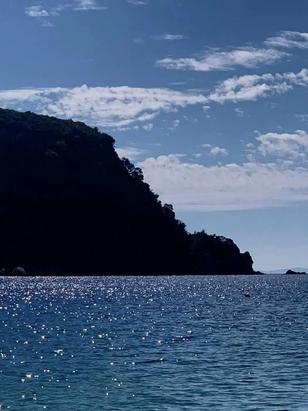 The wooded headland and the open Ionian sea at the edge of Potami bay