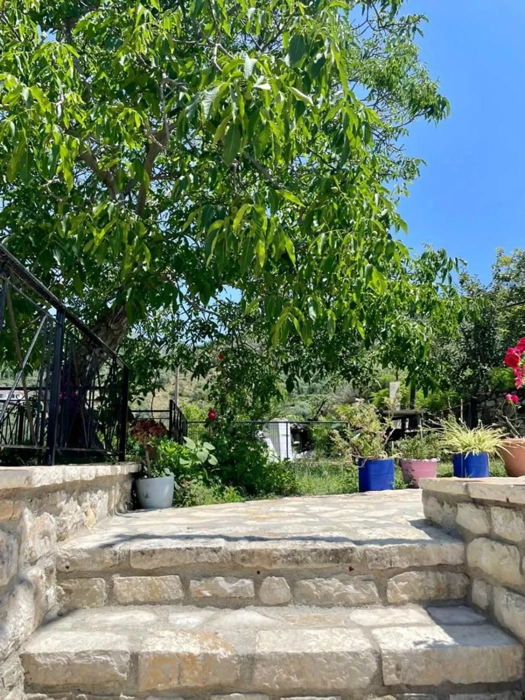 Limestone steps up through the garden to the house