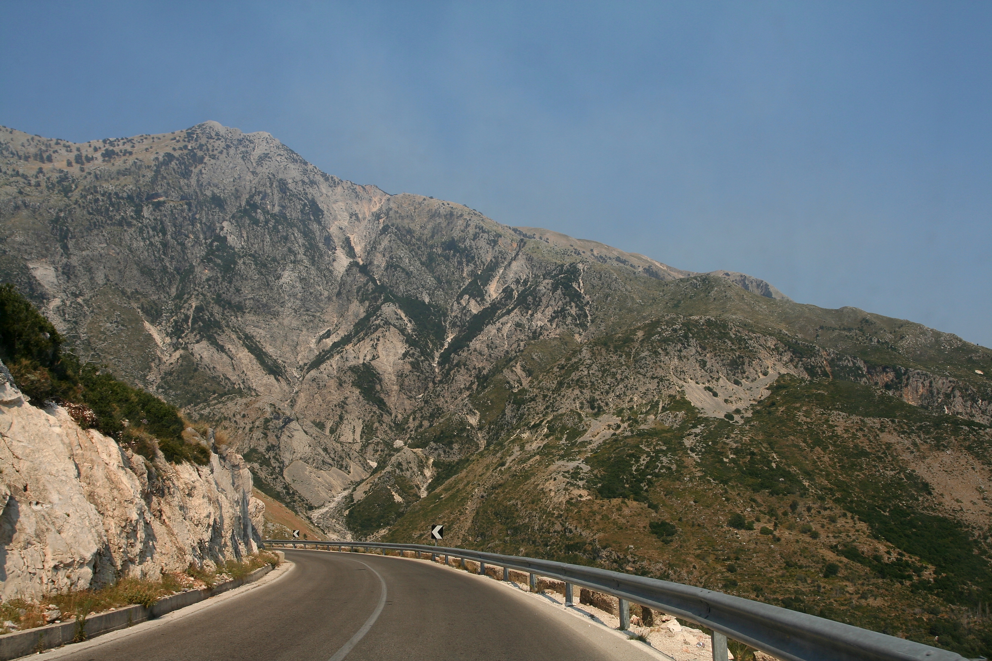 Pine-covered slopes of Llogara National Park with the Ionian Sea visible in the distance