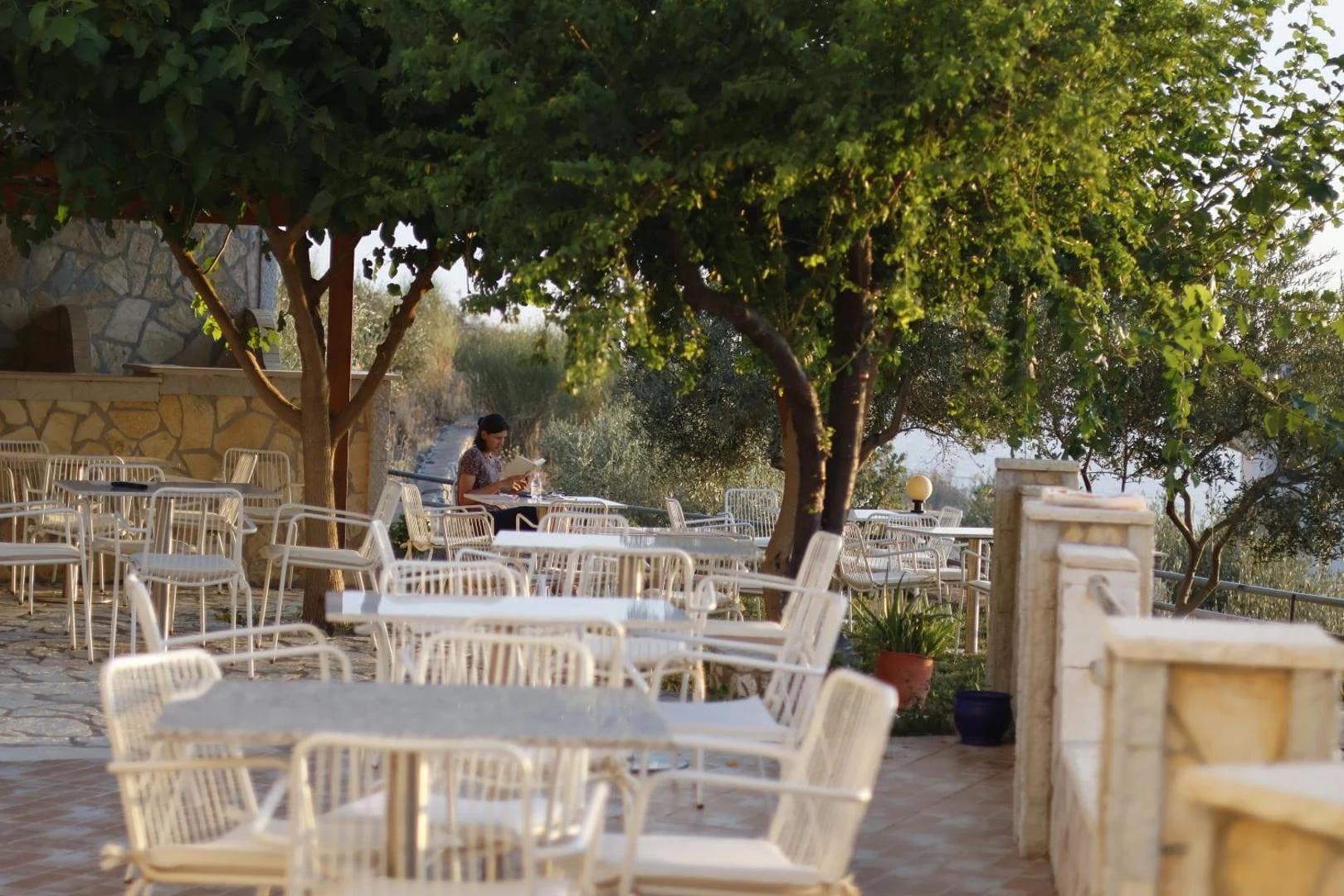 White tables and chairs in the shade of olive trees on the terrace, the bay beyond the wall