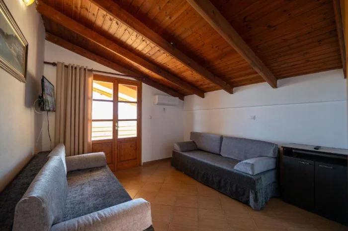 A sitting room with two grey sofas under a pitched boarded ceiling, a glazed timber door at the end onto the terrace