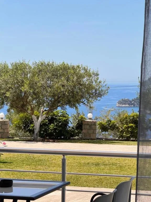 The Ionian seen past an olive tree from a terrace, a small rocky islet offshore and the lawn and garden wall beyond the rail