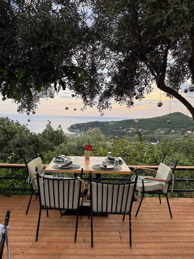 Table set for four under the olive canopy at Fig & Olive with the bay and headland behind
