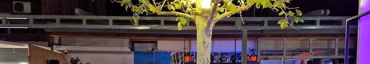 The bar's pergola at night — a whitewashed plane trunk, a steel frame and a shelf of bottles lit blue behind the counter