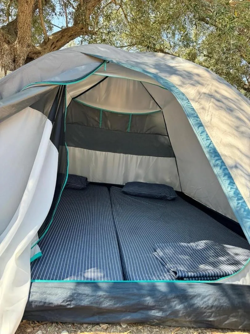 Inside a dome tent at Olive Camping — two self-inflating mattresses laid side by side and made up with striped pillows, the door unzipped to the olive branches outside