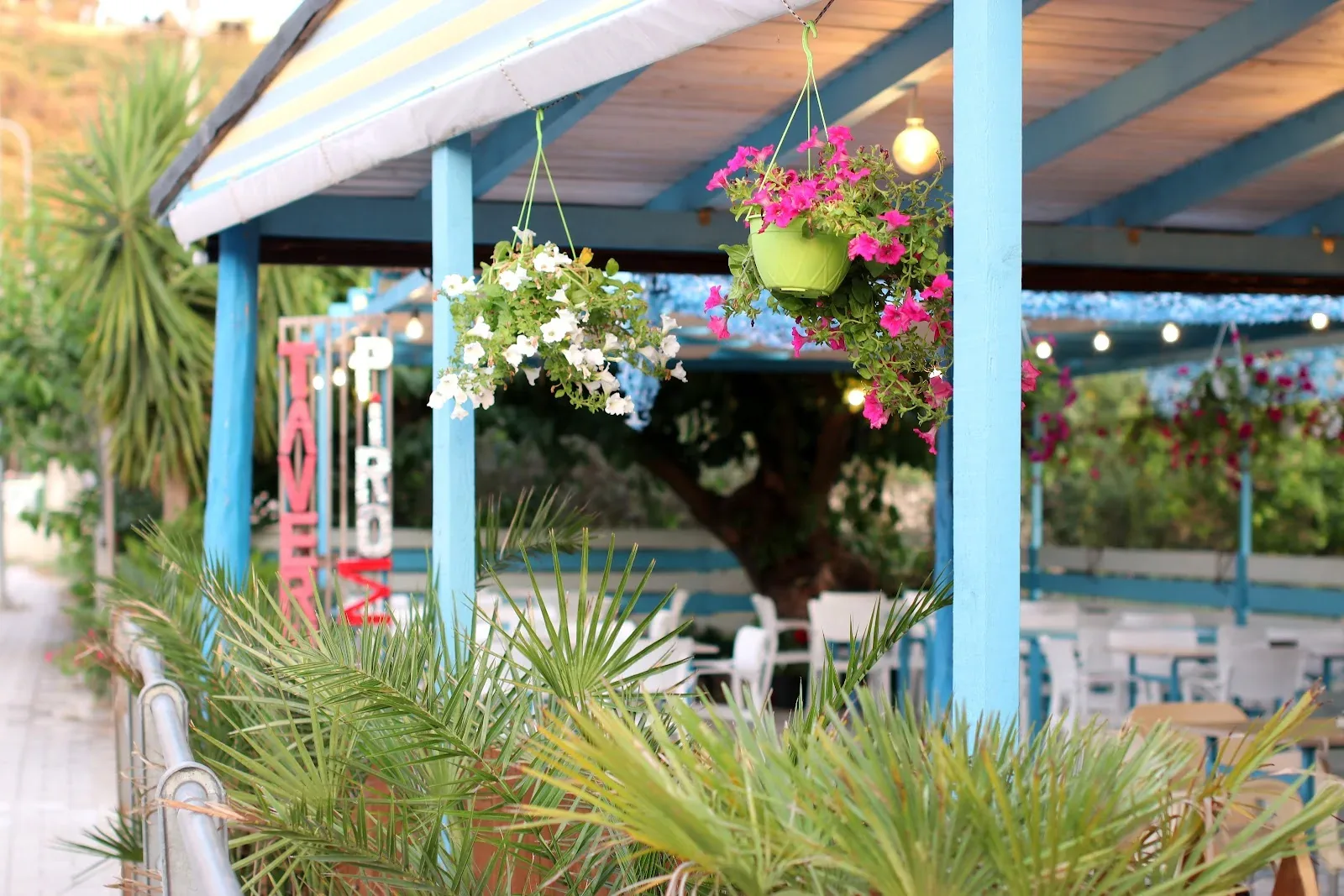 Sky-blue timber pergola posts under a bamboo and striped-canvas roof, with pink and white petunias hanging in baskets and the taverna's standing red and white sign behind them