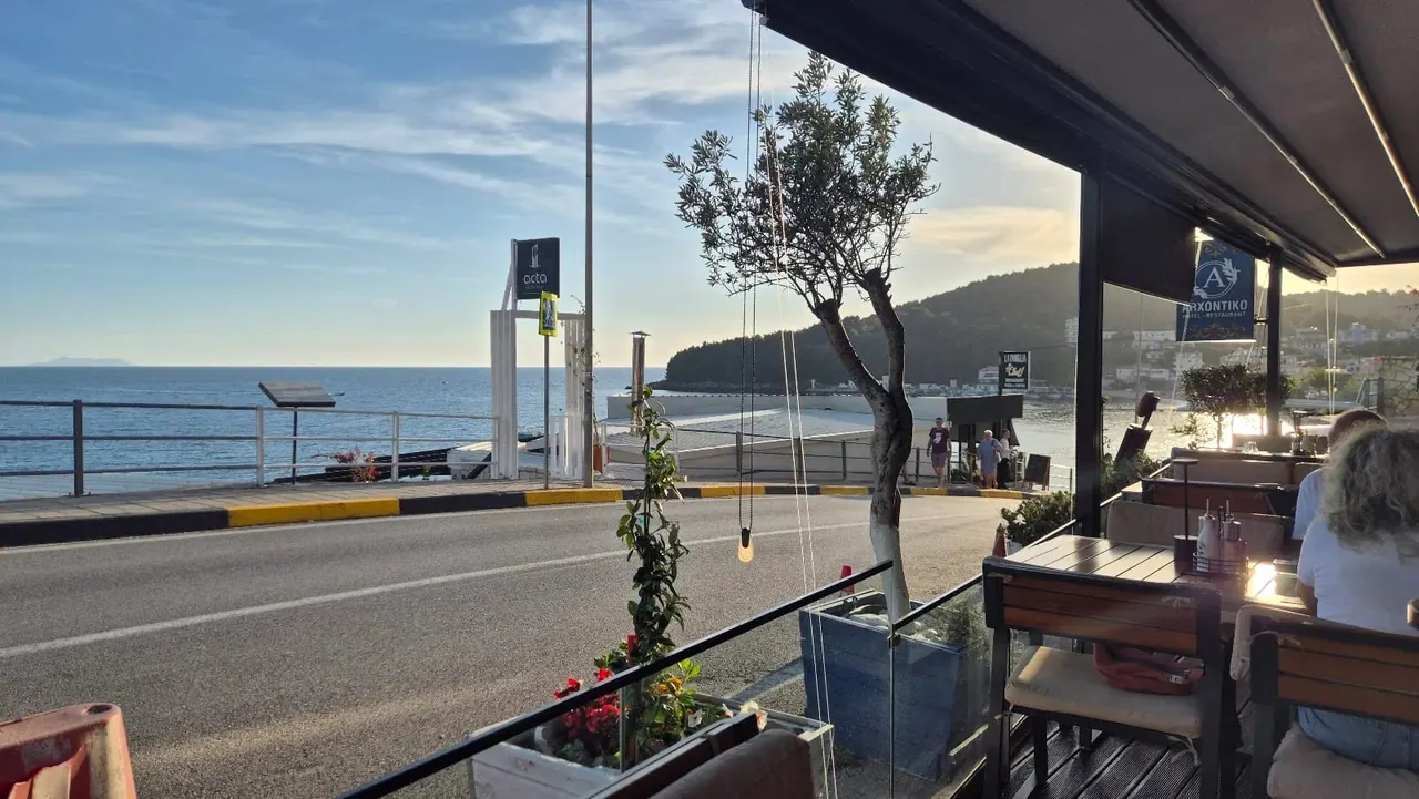 The view from the restaurant terrace, past the planters and an olive tree, across the seafront road to the sea and the wooded headland, with the ARXONTIKO sign at the right