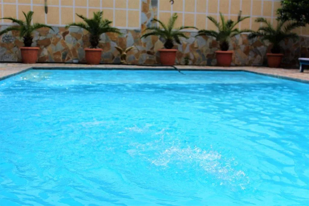 The outdoor swimming pool at Hotel Frida in daylight, with potted sago palms along the stone-clad wall behind it