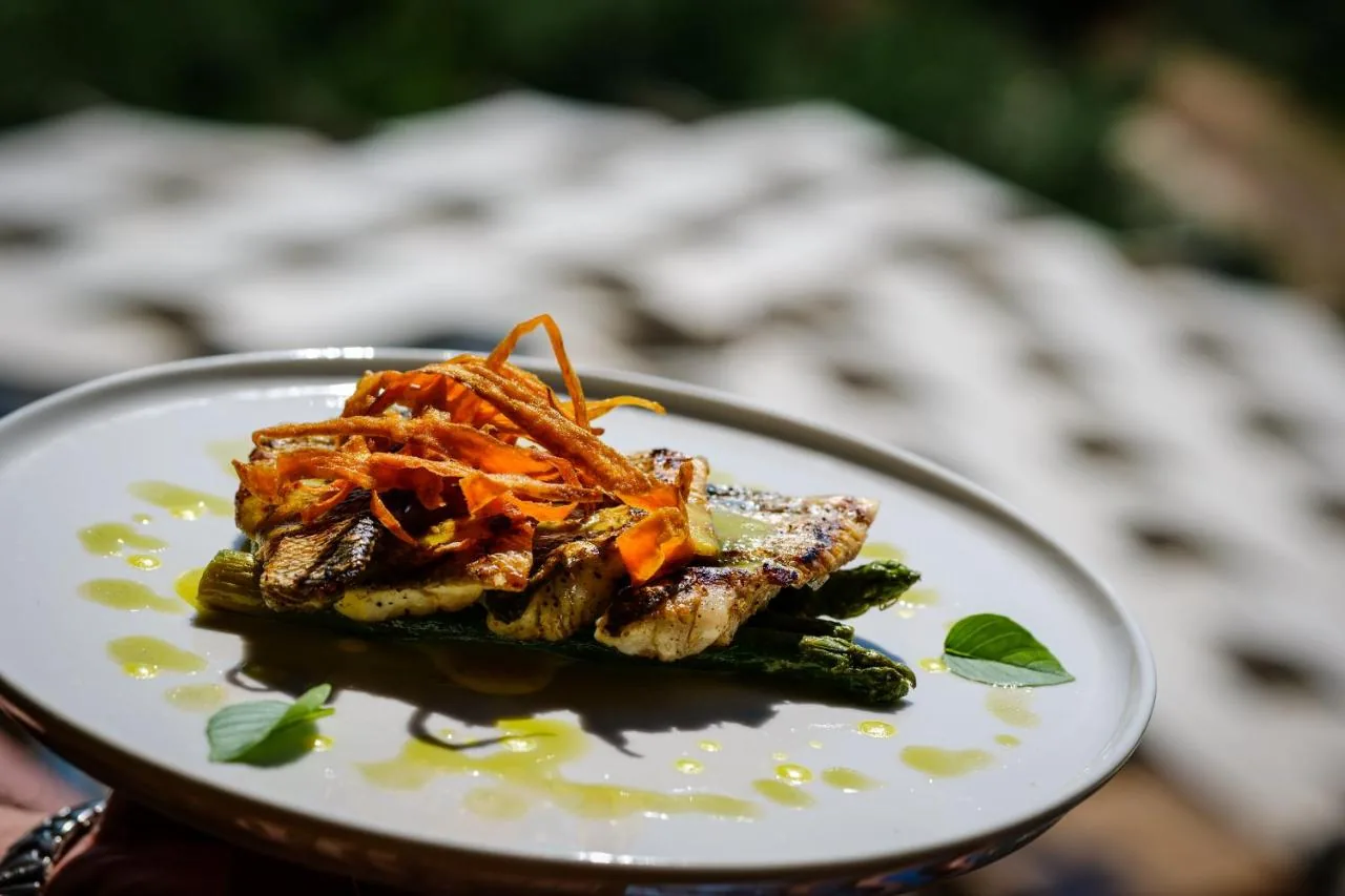 A plated fillet of white fish on grilled asparagus with crisp carrot ribbons and a scatter of olive oil, held up in bright sunlight outdoors.