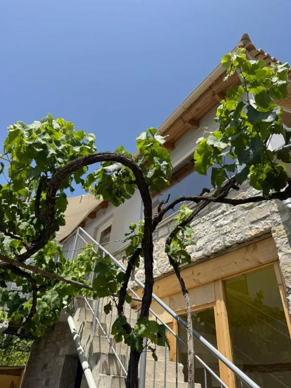 Single Bed in 10-Bed Dormitory Room at Himara Hostel