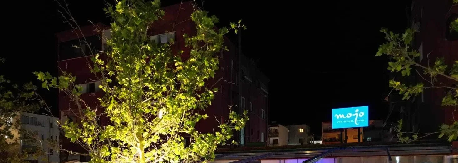 The illuminated Mojo Cocktail Bar sign in pale blue, raised on two posts above a roofline beside a floodlit plane tree, against the black of a Himarë night