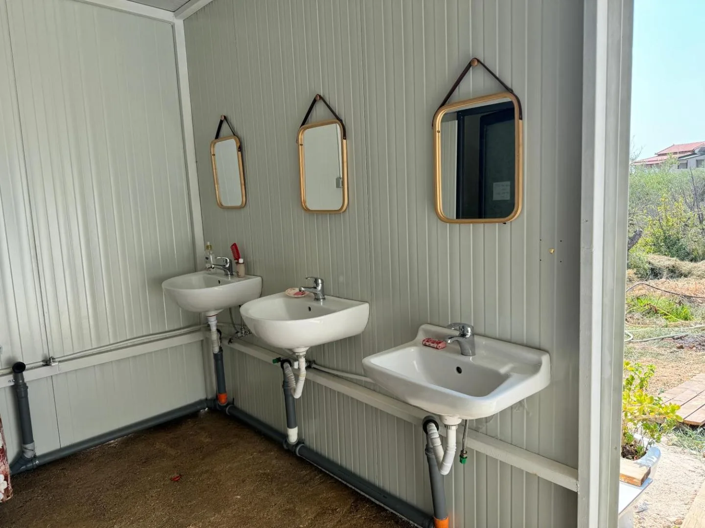 The wash block at Olive Camping — three basins along a panelled wall under three round-cornered mirrors, the grove visible through the open end