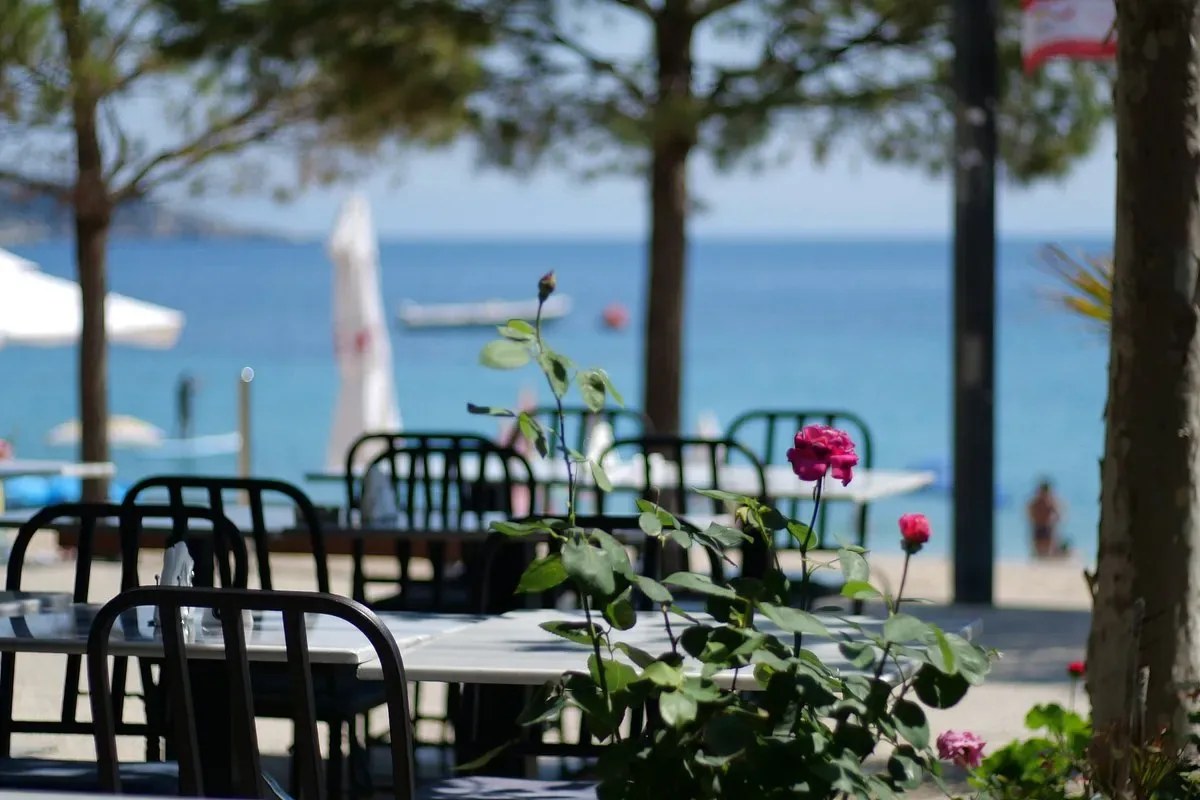 Black bistro chairs and white tables on the terrace under umbrella pines, the shingle and the water beyond