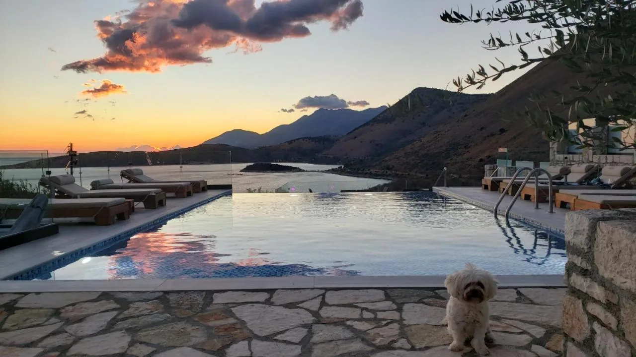 The pool lit after sundown with the hills behind it, a small white dog sitting on the stone paving