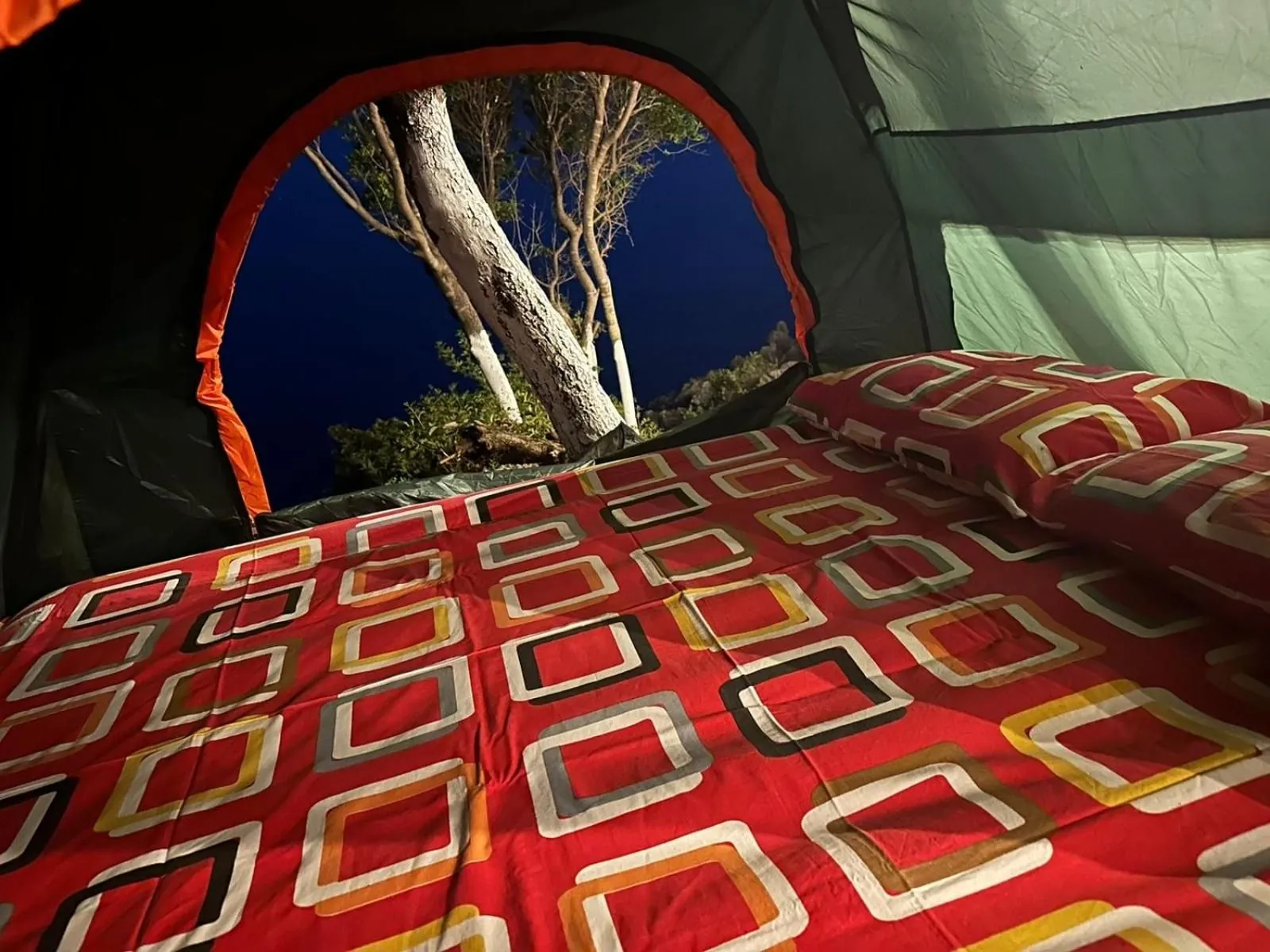 Camping Aquarium — view 3