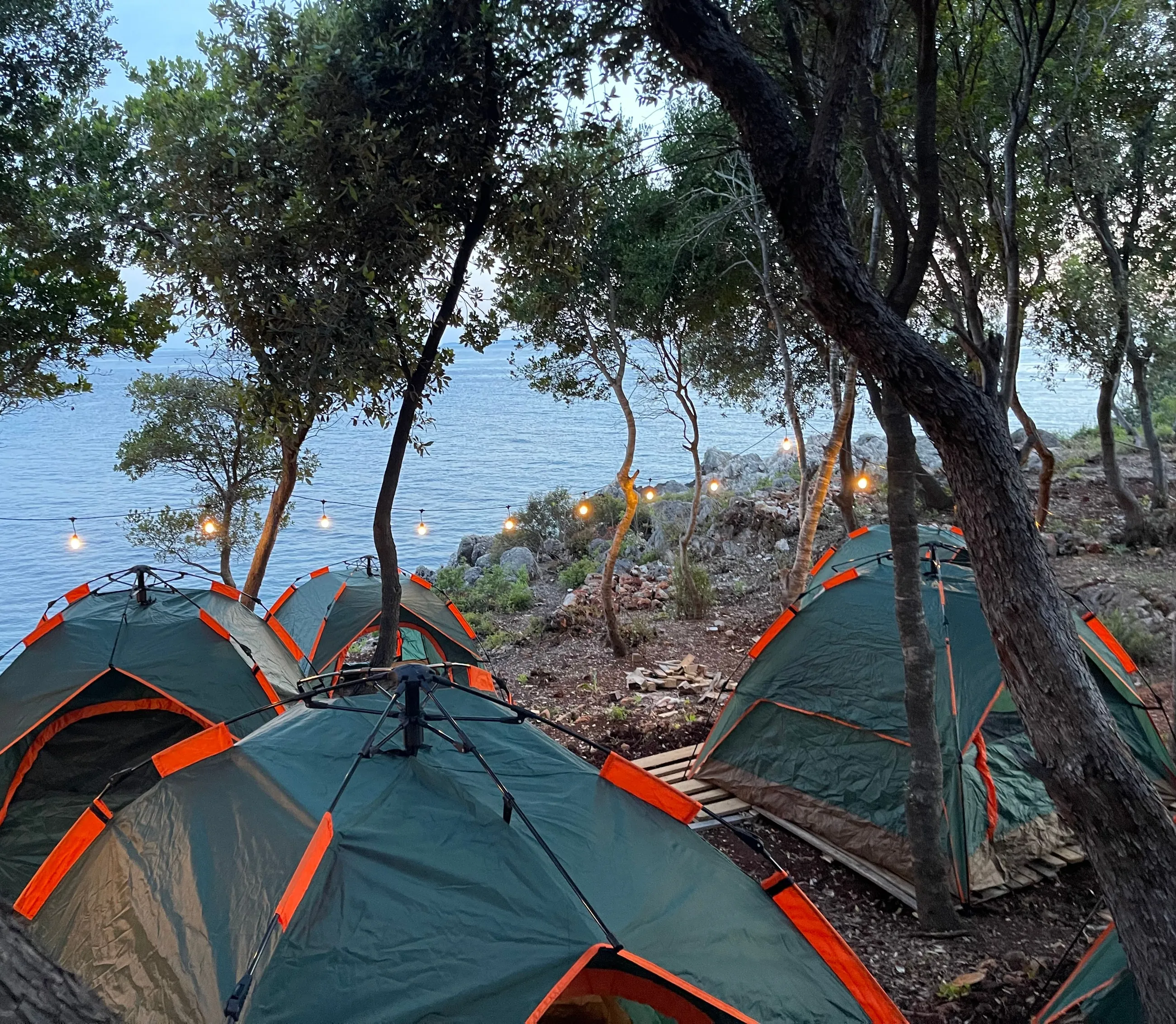 Dome tents under the trees at dusk at Camping Aquarium, string lights and the sea beyond