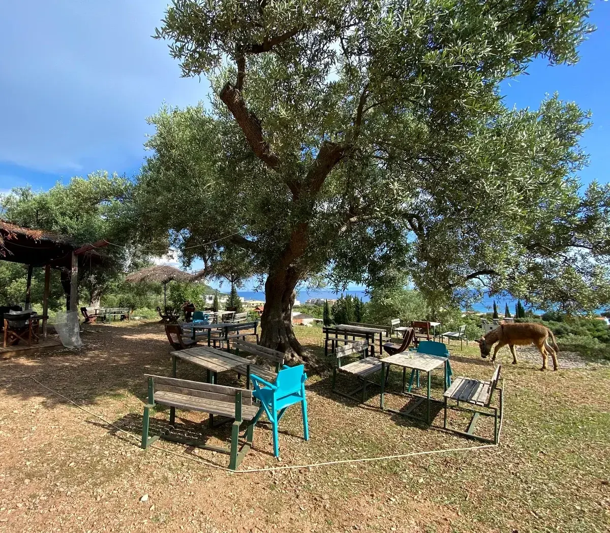 Camping Himara