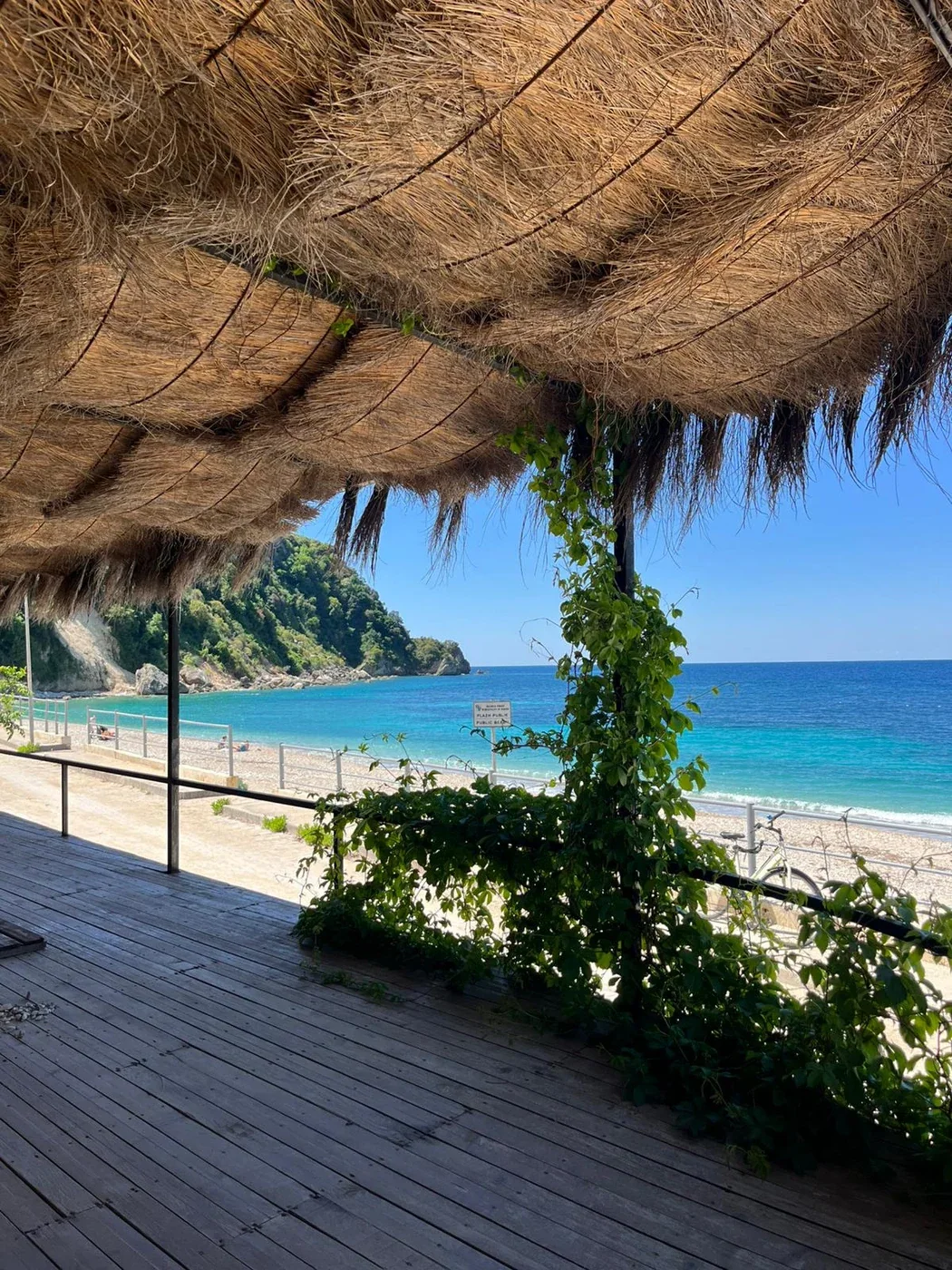 Oasis on the Beach