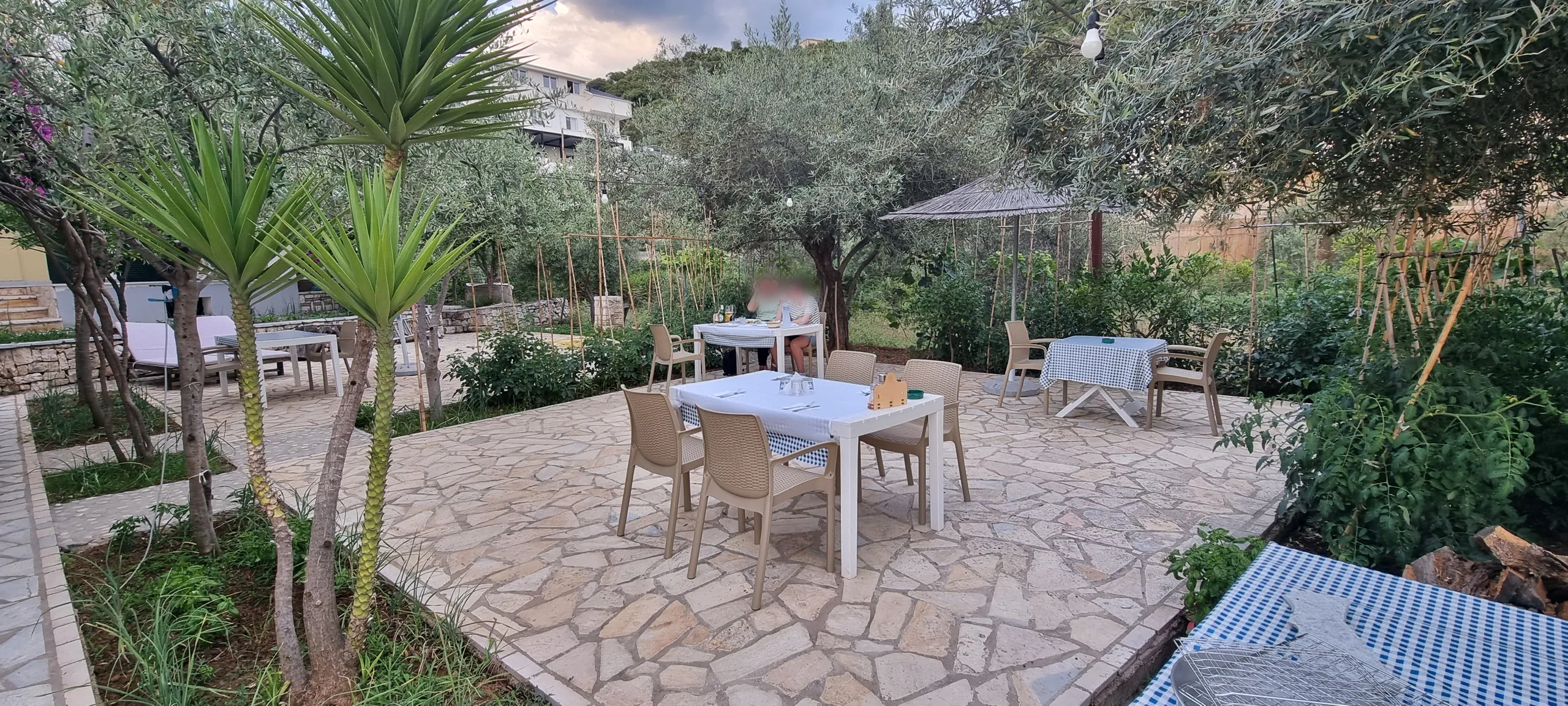 Tables laid with gingham cloths under the olive trees in the garden of Guest House Solive in Potam, Himara