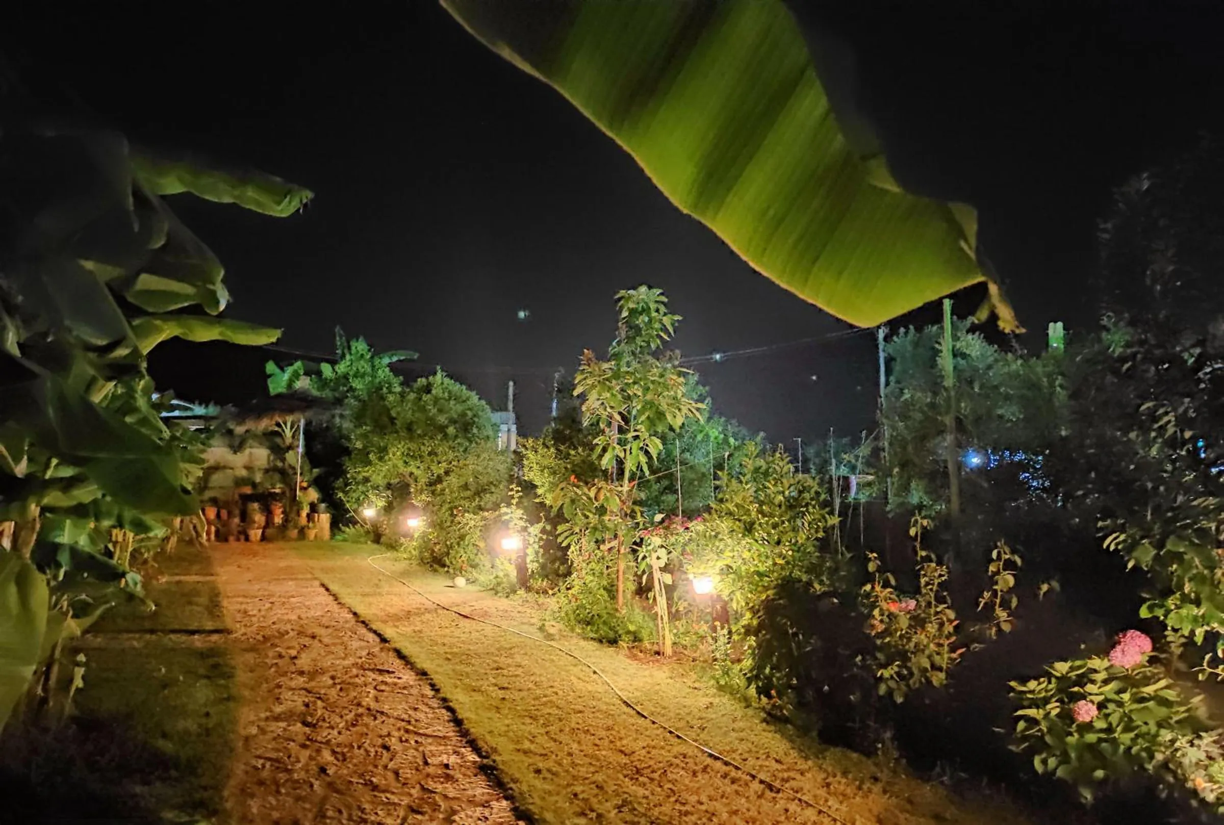 Guesthouse Vila Druri — view 5